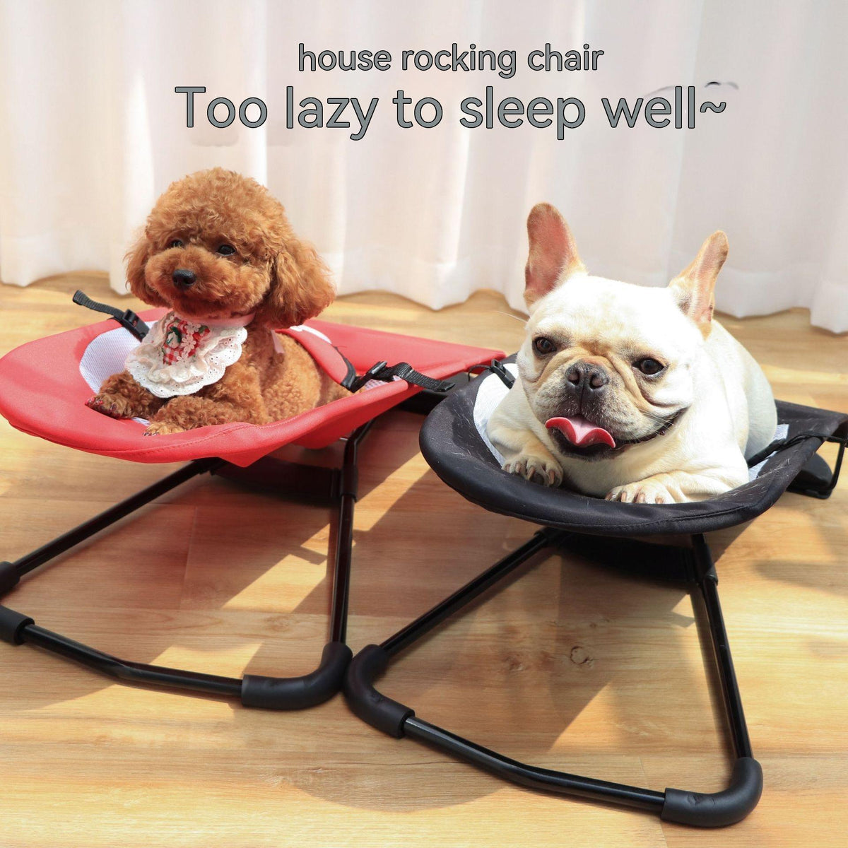 New Portable Dog Rocking Chair – prestigemetrics.com